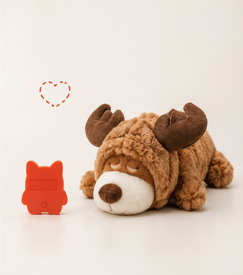 CloseBy moose plush asleep beside the heart insert left out